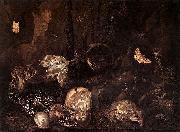 Otto Marseus van Schrieck Still life with Insects and Amphibians France oil painting artist